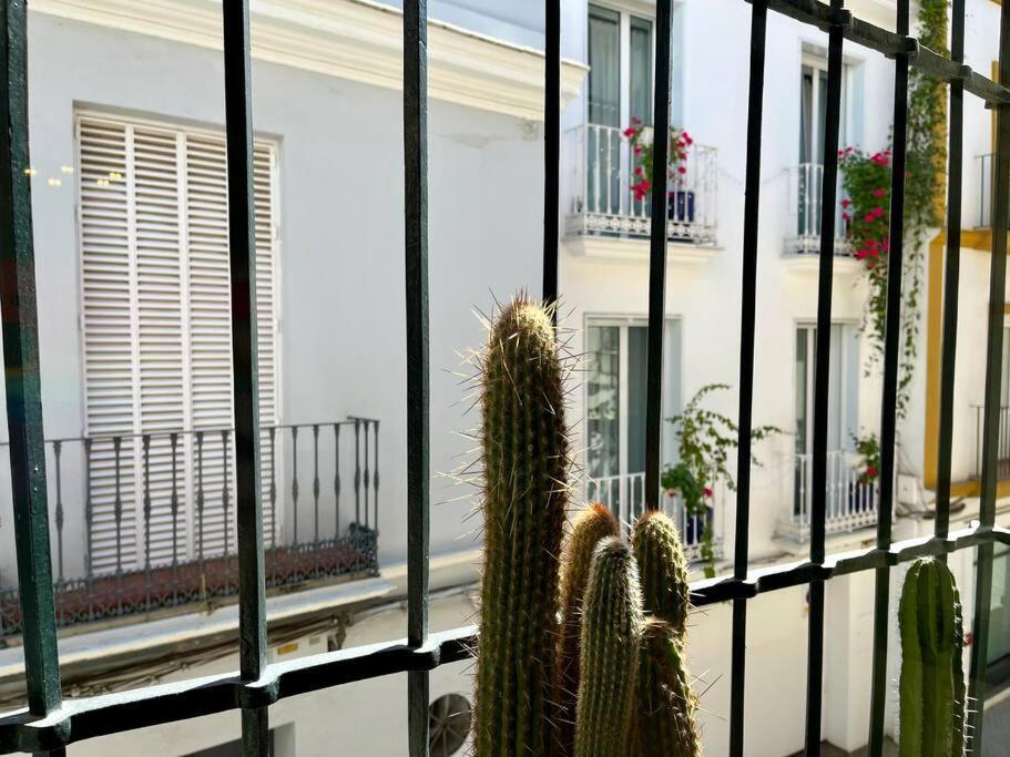 Apartamento Suite Alameda De Hercules Sevilla Eksteriør billede